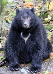 333859659_224229650091345_8964497359809440532_n