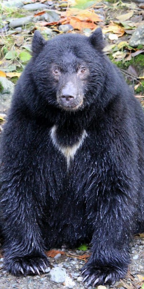 333859659_224229650091345_8964497359809440532_n