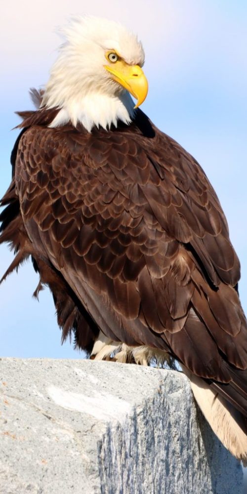 334097836_174188378736411_55535945557164738_n