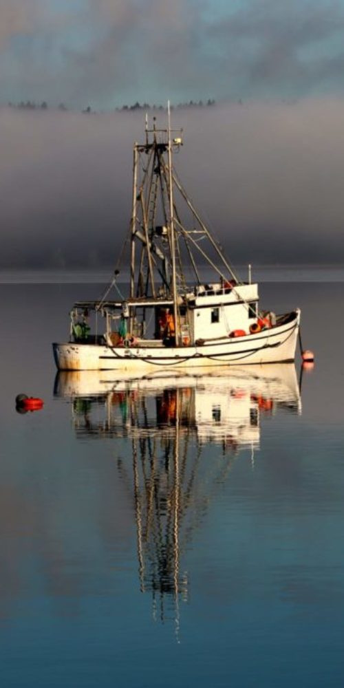 334768678_1172043006798170_153671295882166974_n