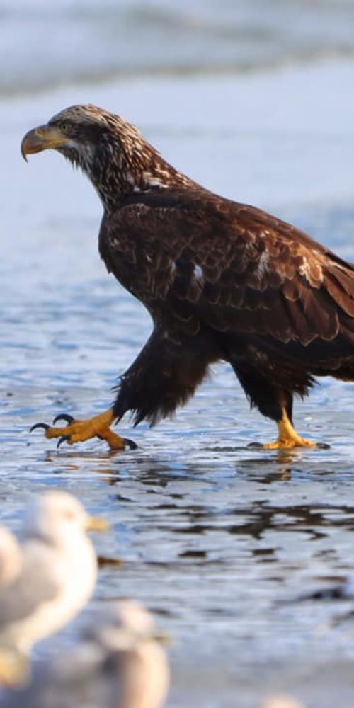 335299168_772151210779070_8544649996727086877_n