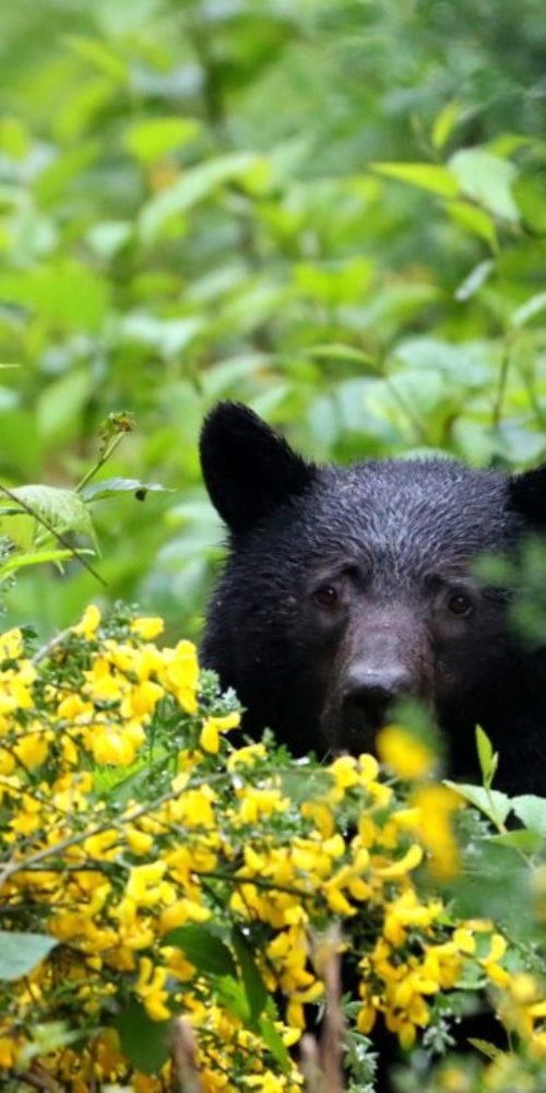 335668865_169360558840618_2712532236319143743_n