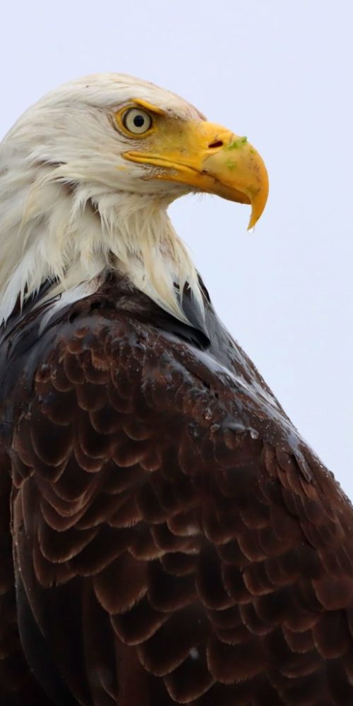 335825654_5533197340120288_159937512445040384_n